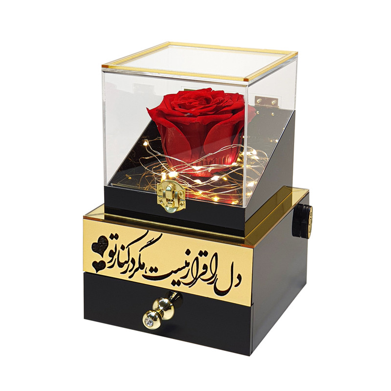 جعبه موزیکال مدل گنجینه طرح دل را قرار نیست کن مدل 405370